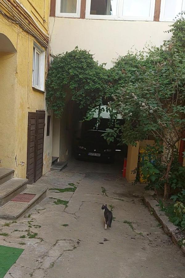ブラショフApartament Diaconu Coresiアパートメント エクステリア 写真